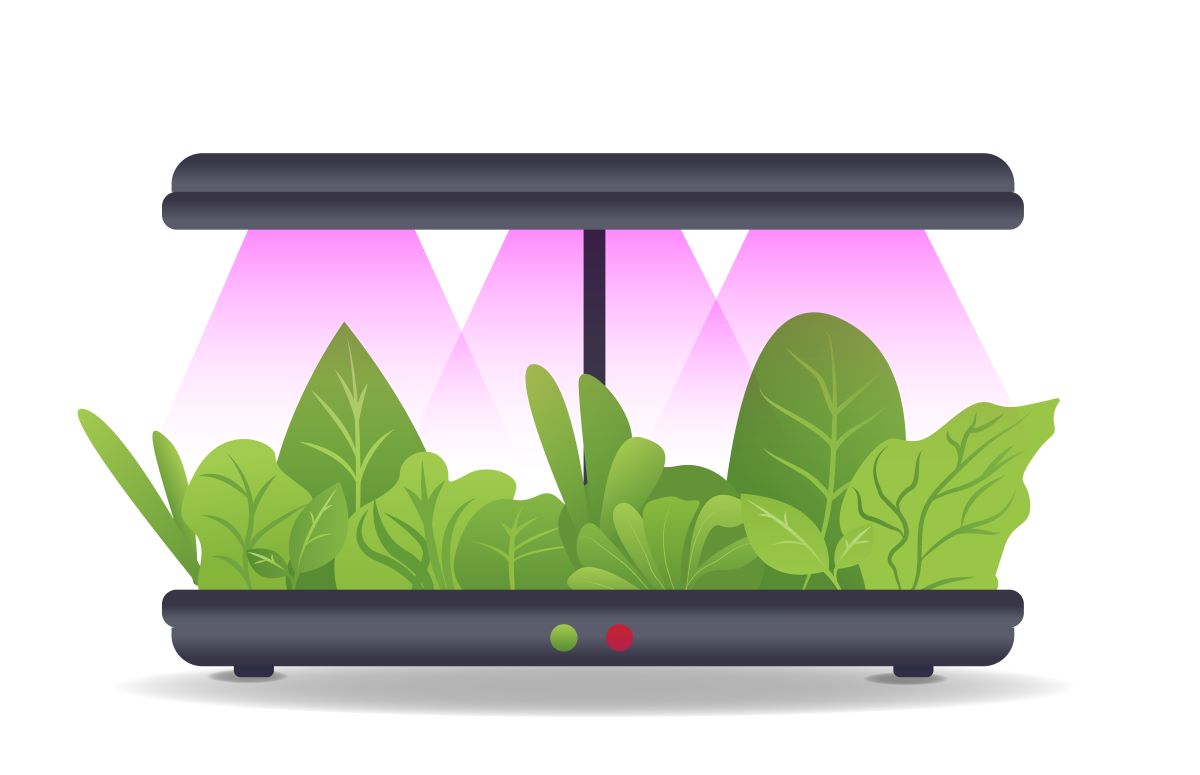 şehirde topraksız tarım