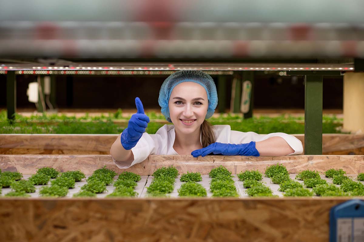 Topraksız Tarım İle Hobinizi İşe Dönüştürün