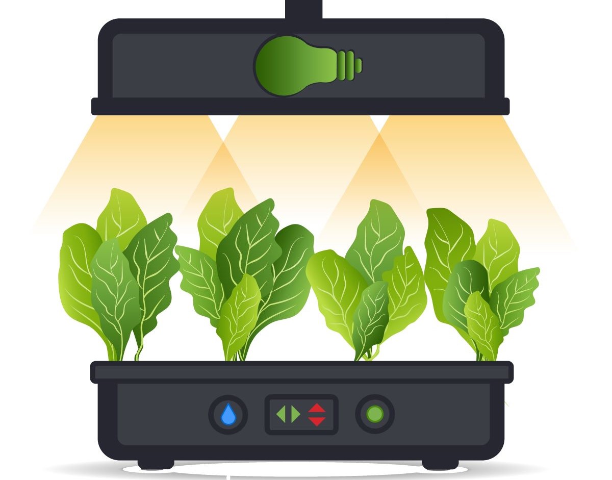 slug hidroponik tarım