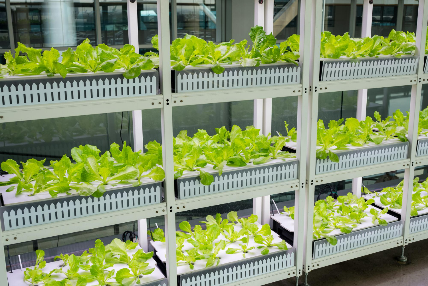 Topraksız Tarım Setleri